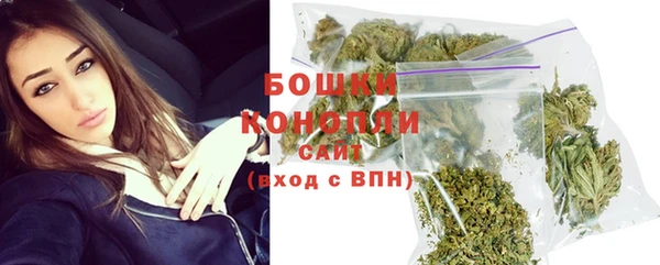 мдпв Бронницы