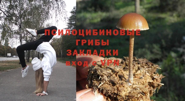 гидра Бугульма
