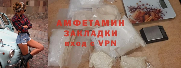 прущие грибы Бородино