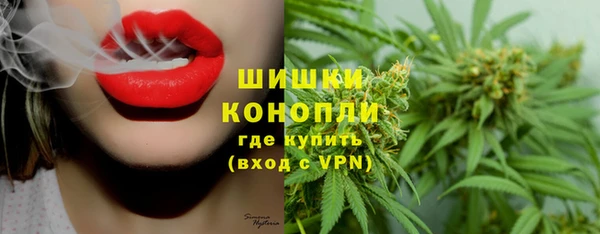 прущие грибы Бородино