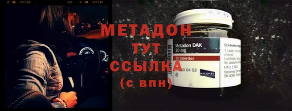 прущие грибы Бородино