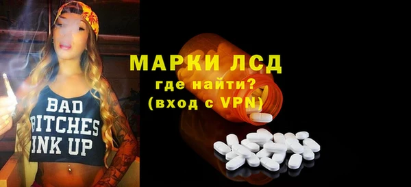 прущие грибы Бородино