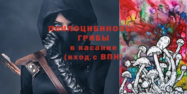 гидра Бугульма