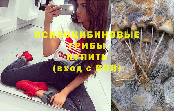 мдпв Бронницы