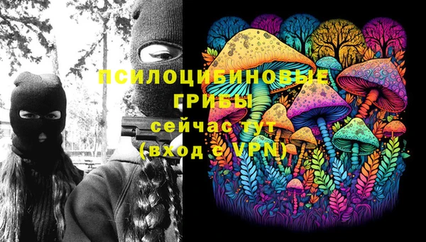 прущие грибы Бородино