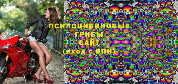mdma Богородицк