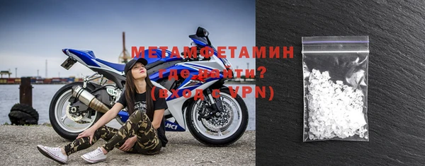 прущие грибы Бородино