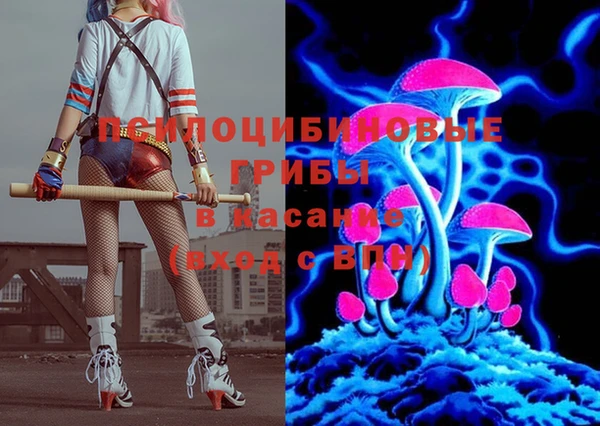 мдпв Бронницы